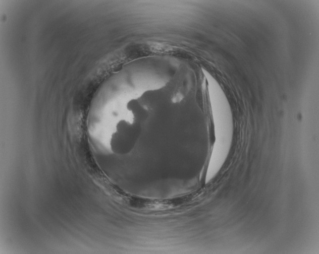 X0000080810319200701051156