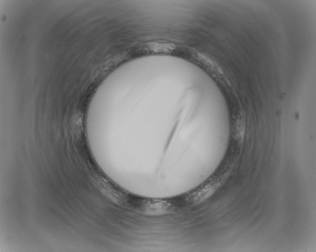 X0000080810321200701051156