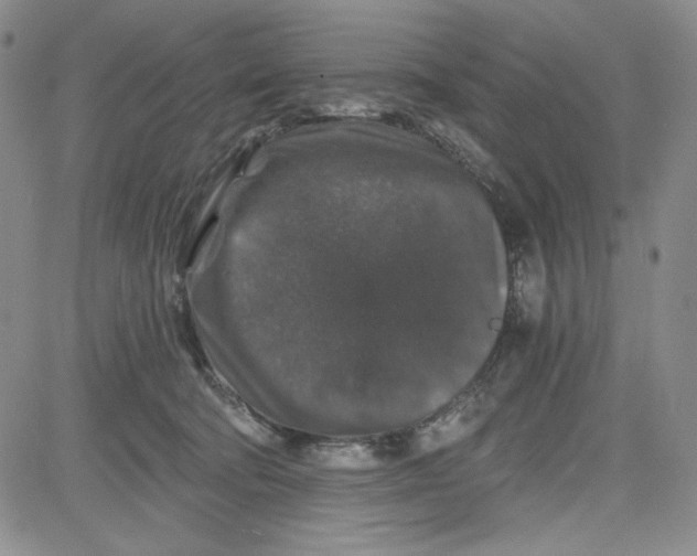 X0000080810322200701051156