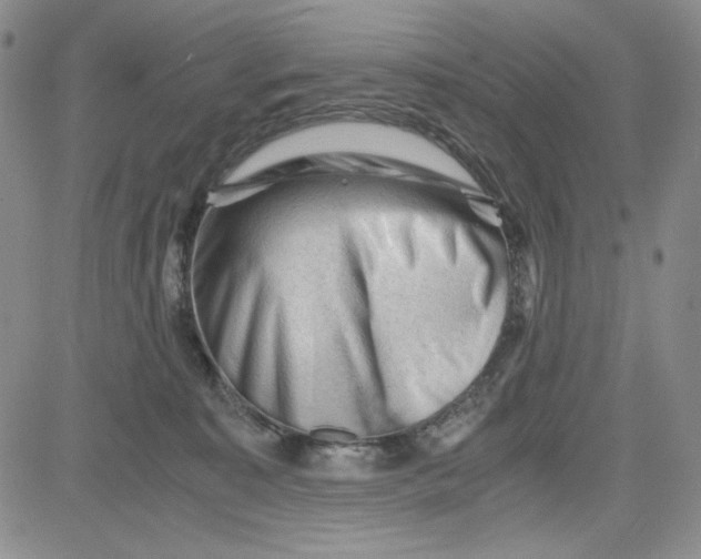 X0000080810323200701051156