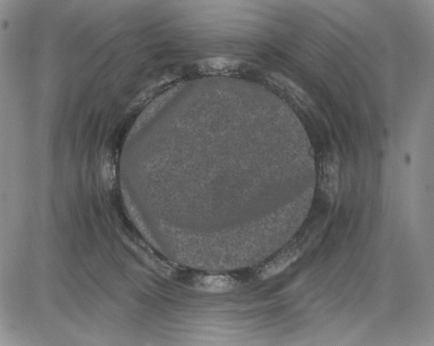 X0000080810324200701051156