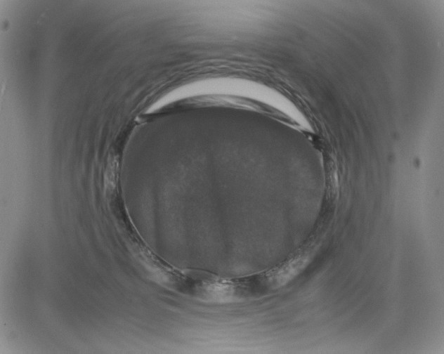 X0000080810325200701051156