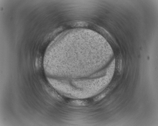 X0000080810326200701051156