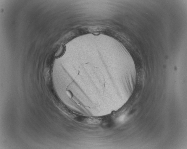 X0000080810327200701051156