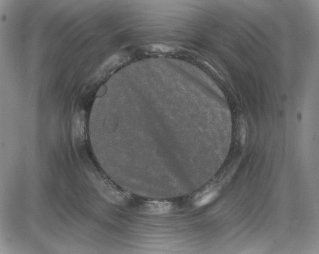 X0000080810328200701051156