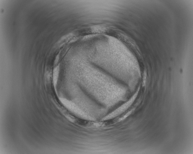 X0000080810329200701051156