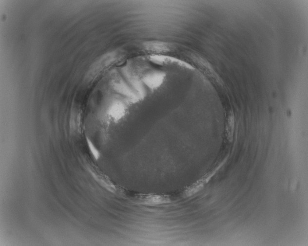 X0000080810330200701051156