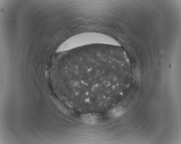 X0000080810331200701051156