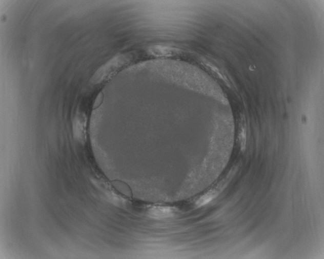 X0000080810332200701051156