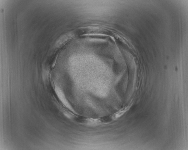 X0000080810333200701051156