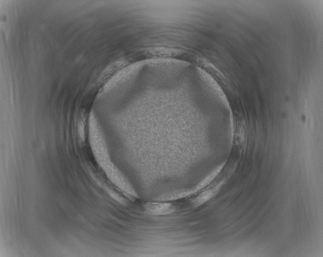 X0000080810334200701051156