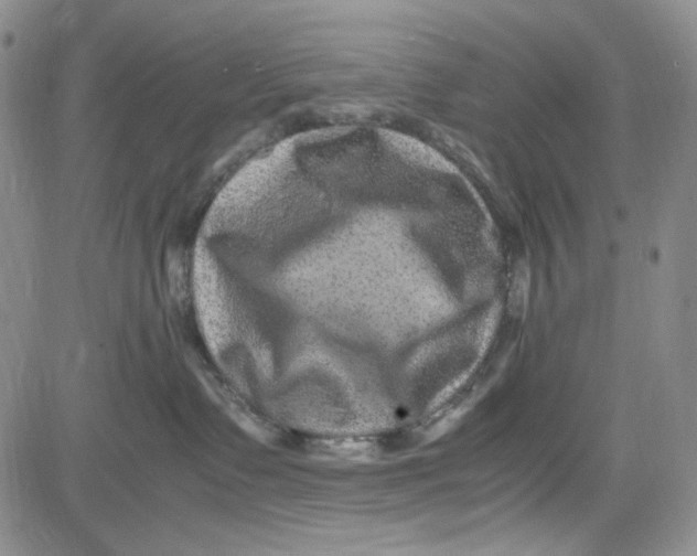 X0000080810335200701051156