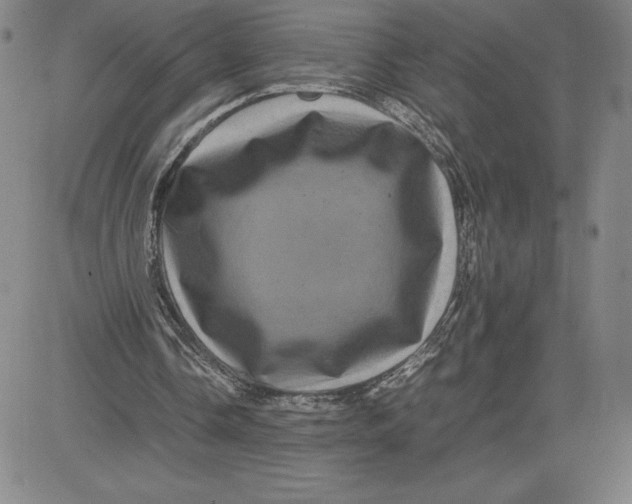 X0000080810338200701051155