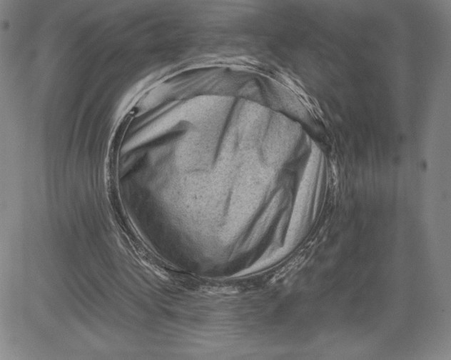 X0000080810340200701051155