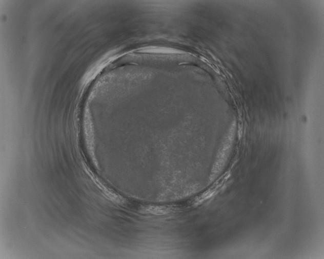 X0000080810341200701051155