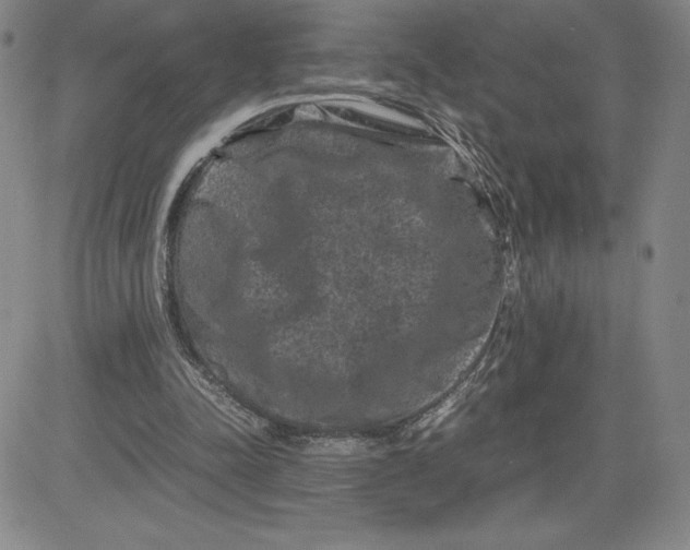 X0000080810342200701051155