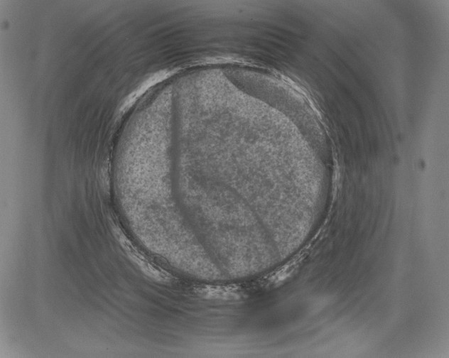 X0000080810345200701051155