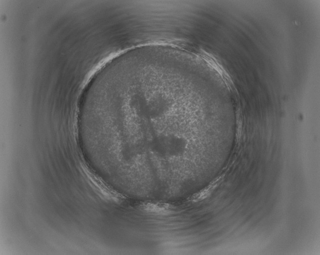 X0000080810346200701051155