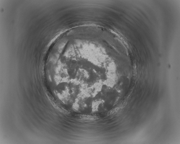 X0000080810347200701051156