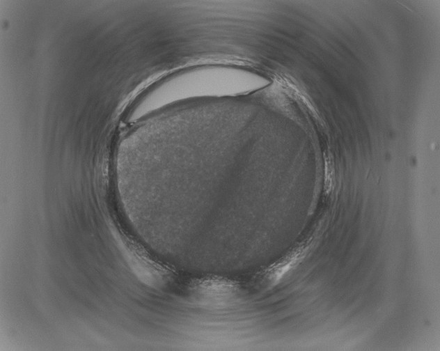 X0000080810348200701051156