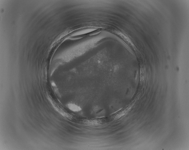 X0000080810349200701051156