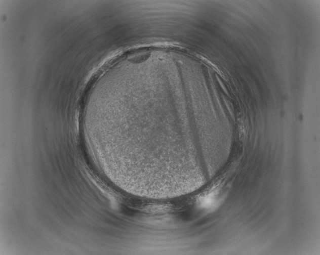 X0000080810350200701051156