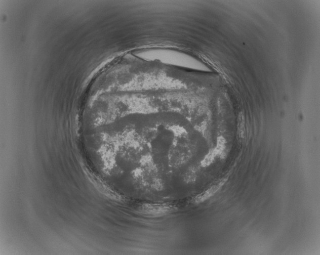 X0000080810351200701051156