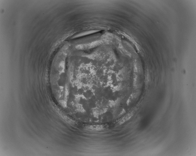 X0000080810353200701051156