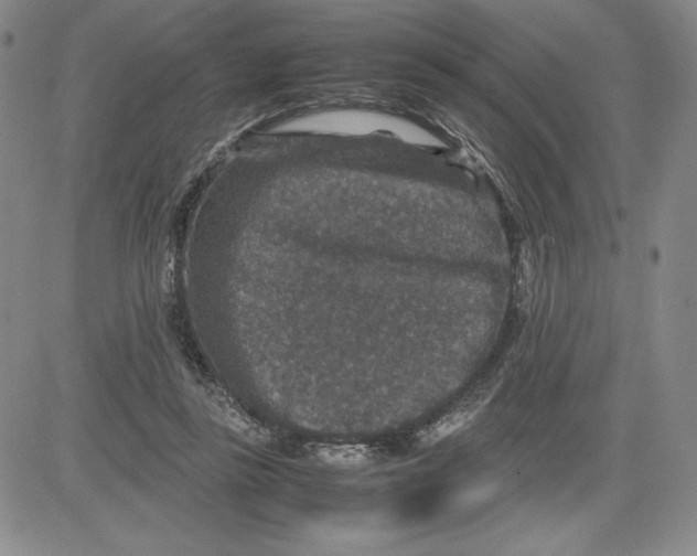 X0000080810355200701051156