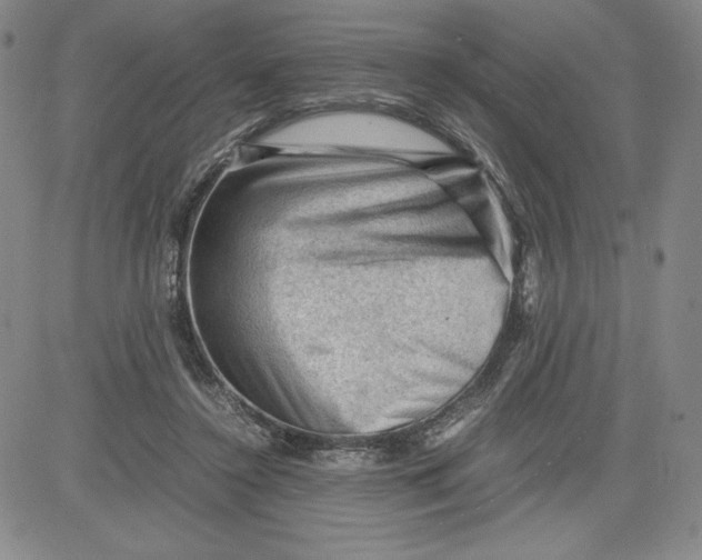 X0000080810356200701051156