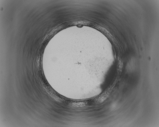 X0000080810357200701051156