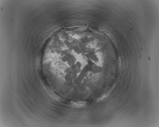 X0000080810359200701051156