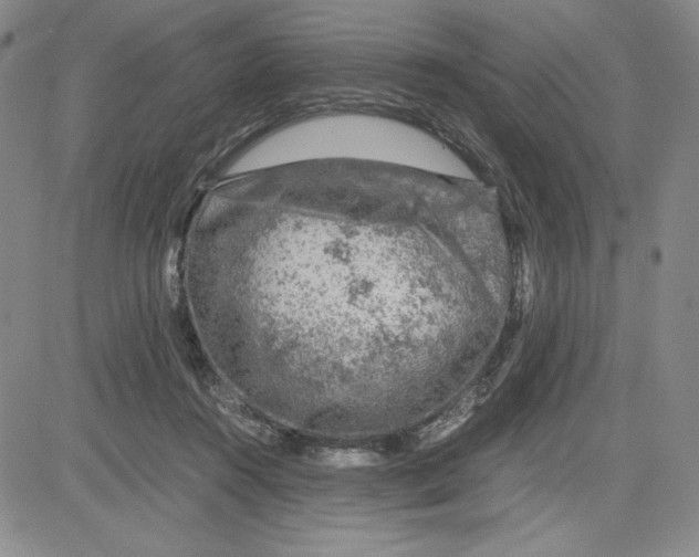 X0000080810360200701051156