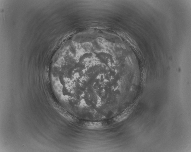 X0000080810361200701051156