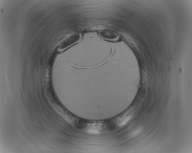 X0000080810362200701051156