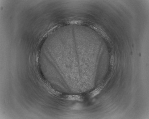 X0000080810363200701051156