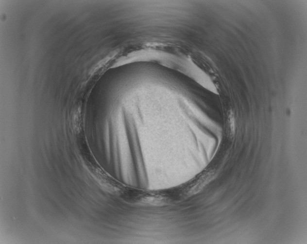 X0000080810364200701051156