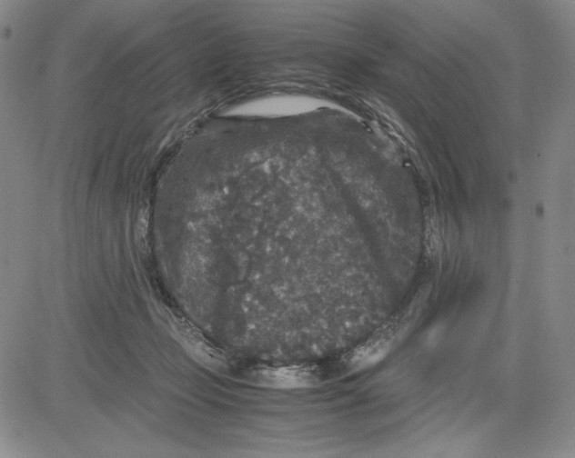 X0000080810365200701051156