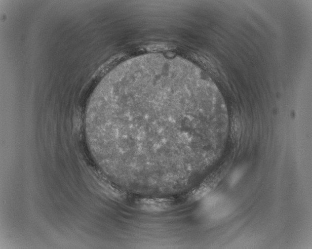 X0000080810367200701051156