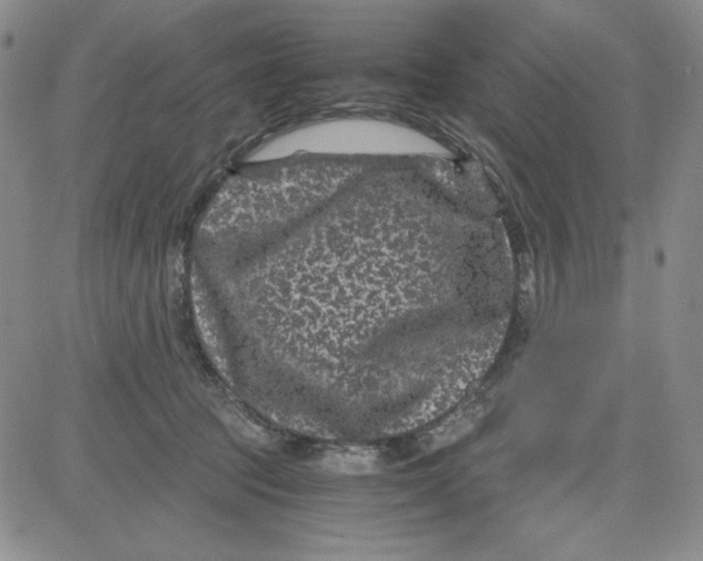 X0000080810369200701051156