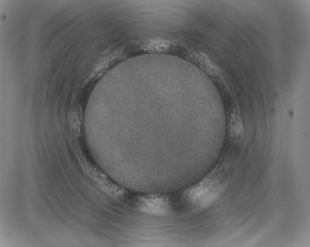 X0000080810370200701051156