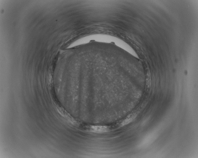 X0000080810371200701051156