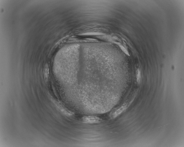 X0000080810372200701051156