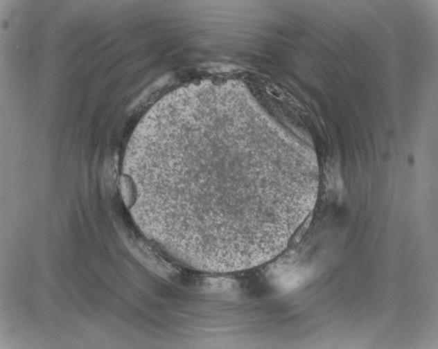 X0000080810376200701051156