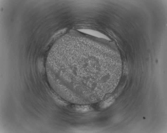 X0000080810377200701051156