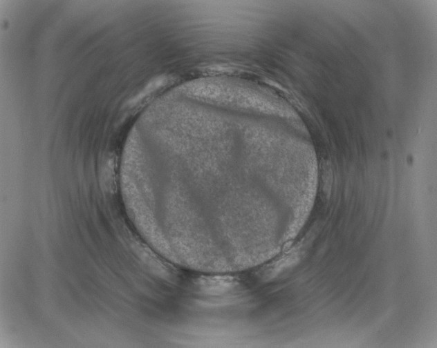 X0000080810378200701051156