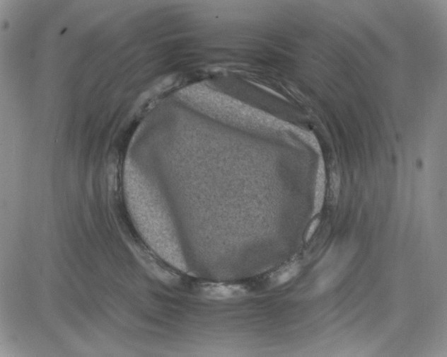 X0000080810379200701051156