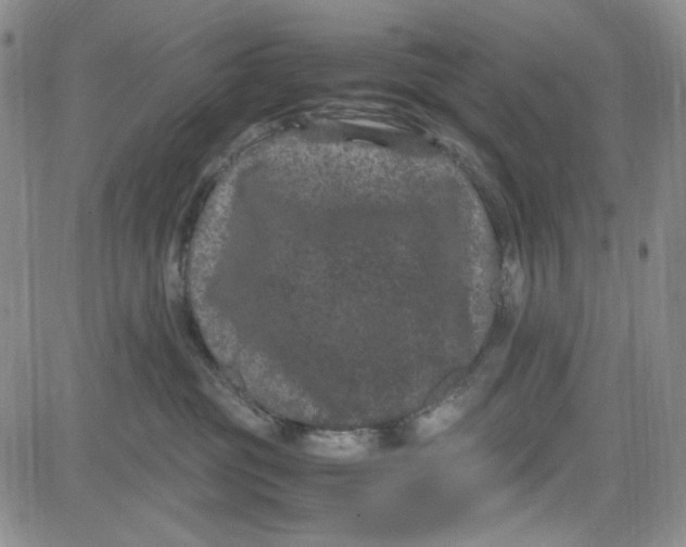 X0000080810381200701051156