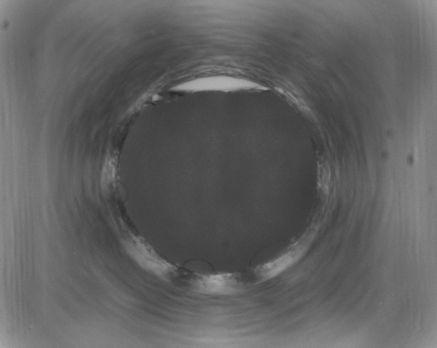 X0000080810382200701051156