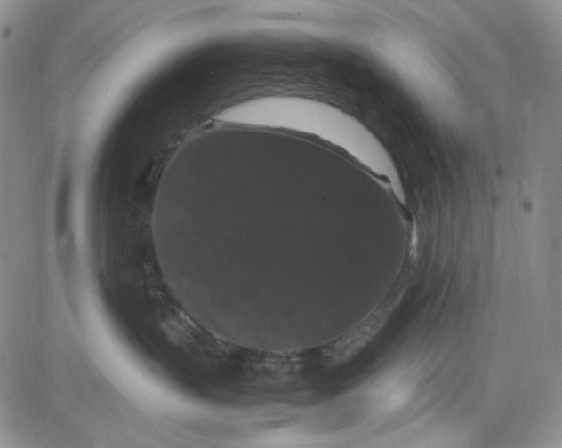 X0000080810383200701051156